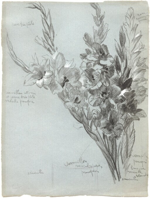 Kohlezeichnung von Alexandre Steinlen mit einem Gladiolenstrauss