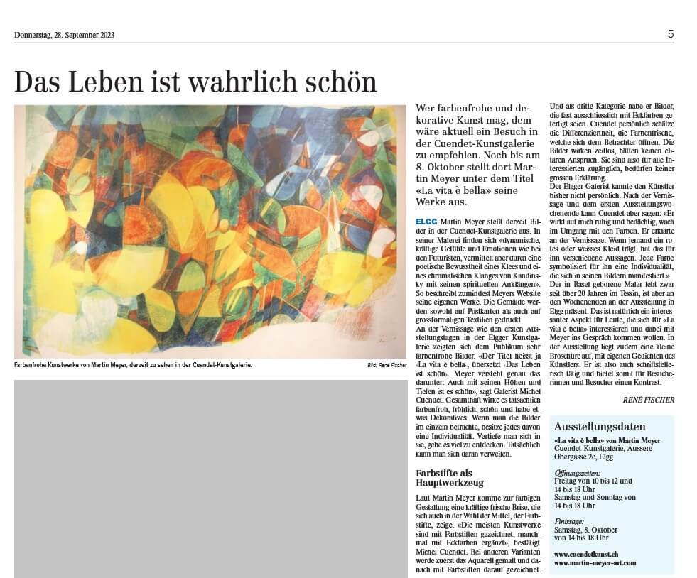 Bericht der Elgger Zeitung zu Ausstellung von Martin Meyer