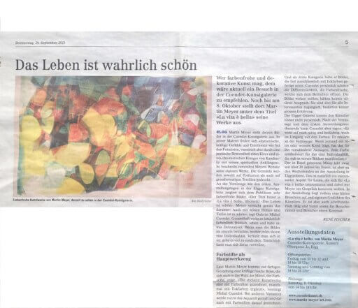 Bericht der Elgger Zeitung zu Ausstellung von Martin Meyer