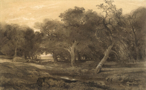 Kohlezeichnung von Alexandre Calame, welche Bäume mit einem Teich abbildet