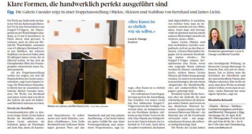 Pressetext des Landboten zur Ausstellung von Bernhard und James Licini